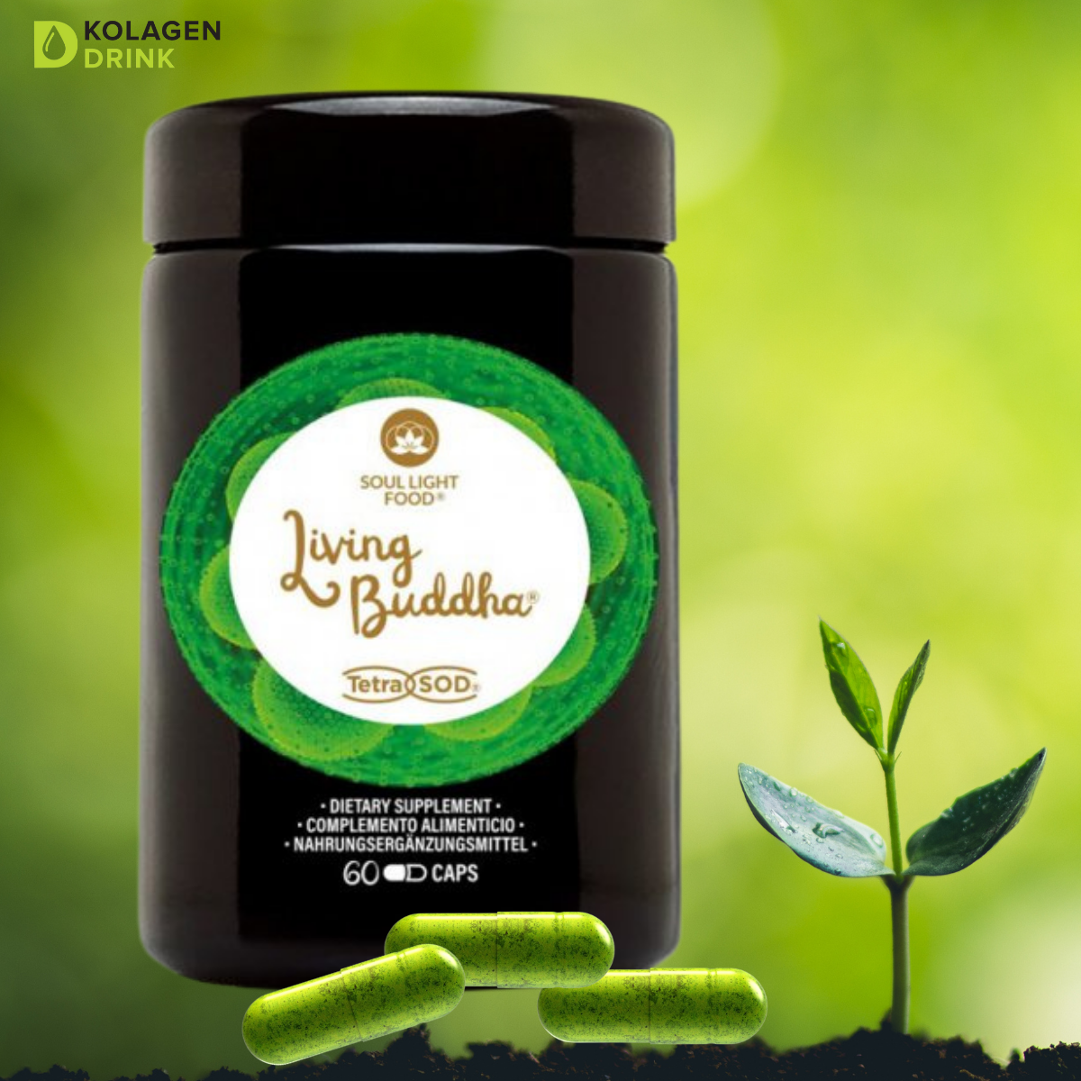 KolagenDrink MORINGA + TETRA SOD = LIVING BUDDHA (1)